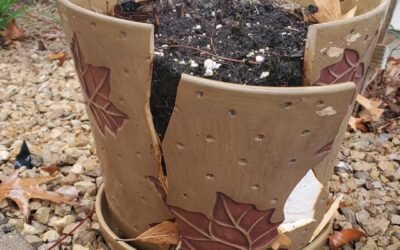 How I Reused My Broken Flower Pot